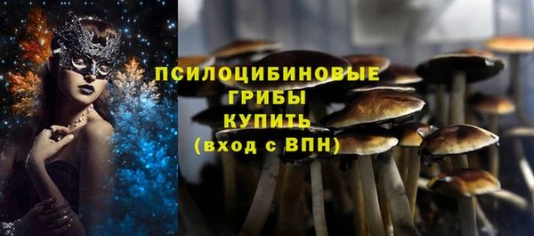 прущая мука Алзамай