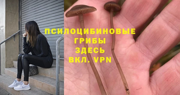 героин Алексин